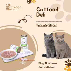 Pate mèo kit cat