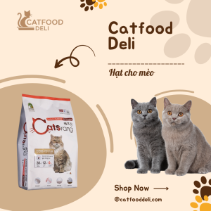 hạt cho mèo yêu của bạn
