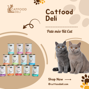 Pate mèo kit cat