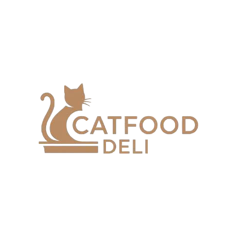 My Blog
